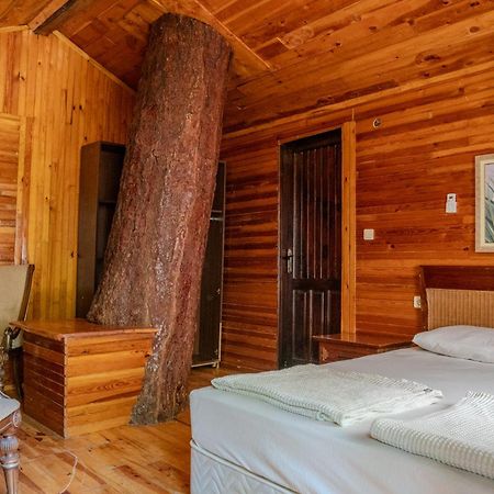 Kadir'S Top Tree Houses Olympos Ngoại thất bức ảnh