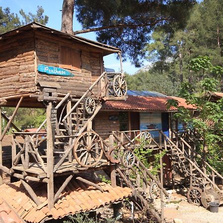 Kadir'S Top Tree Houses Olympos Ngoại thất bức ảnh