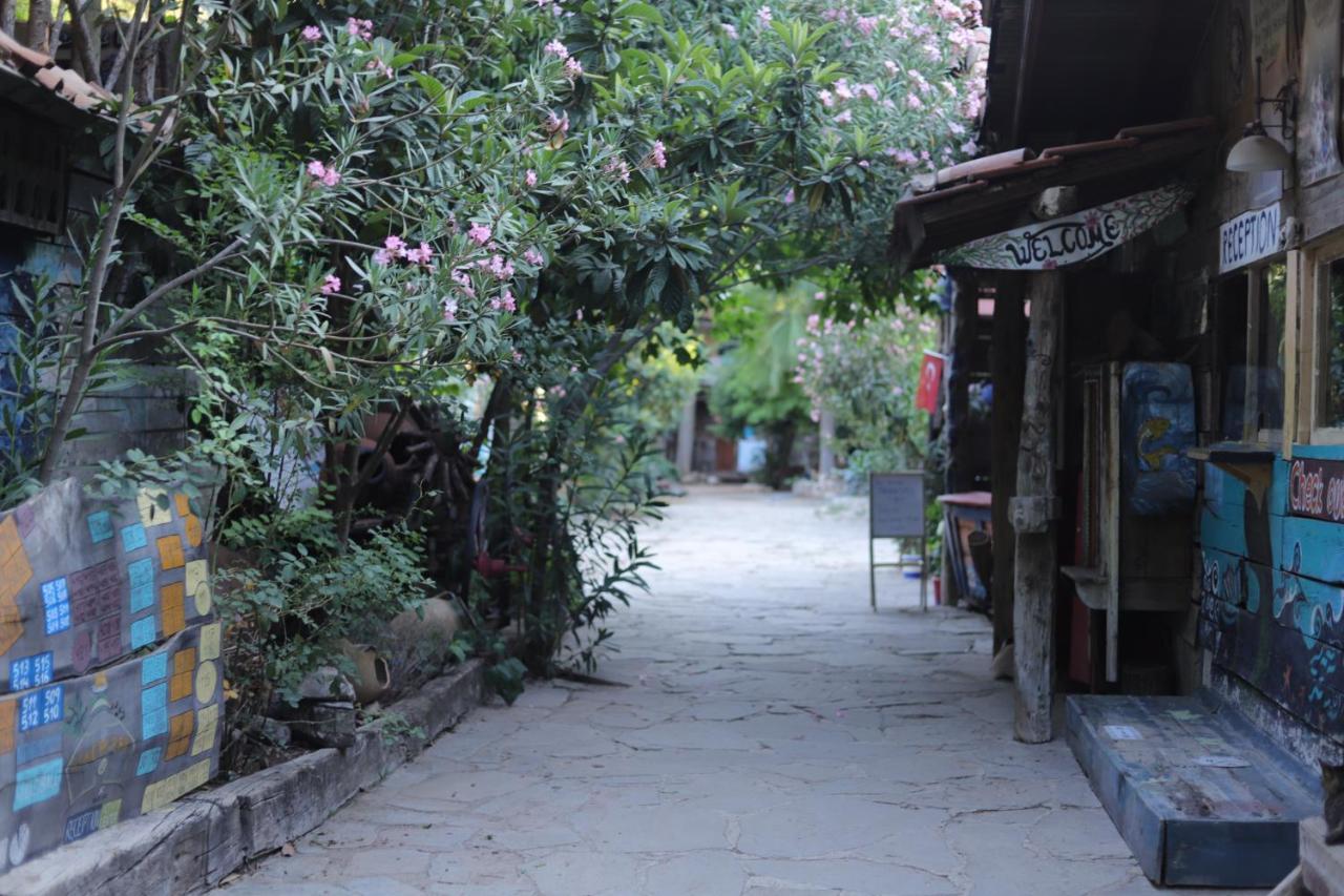 Kadir'S Top Tree Houses Olympos Ngoại thất bức ảnh