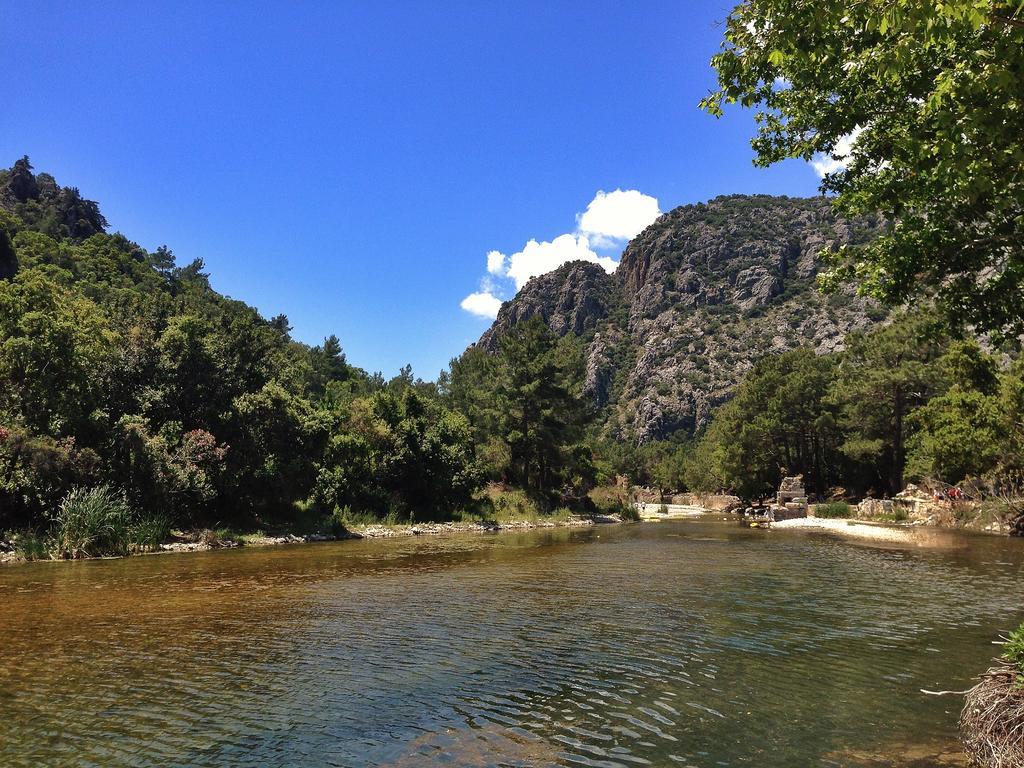 Kadir'S Top Tree Houses Olympos Ngoại thất bức ảnh