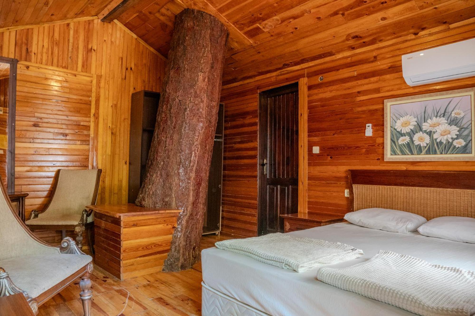 Kadir'S Top Tree Houses Olympos Ngoại thất bức ảnh