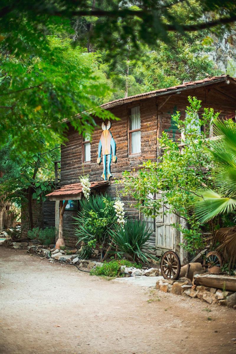 Kadir'S Top Tree Houses Olympos Ngoại thất bức ảnh
