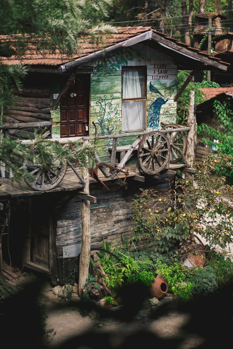 Kadir'S Top Tree Houses Olympos Ngoại thất bức ảnh