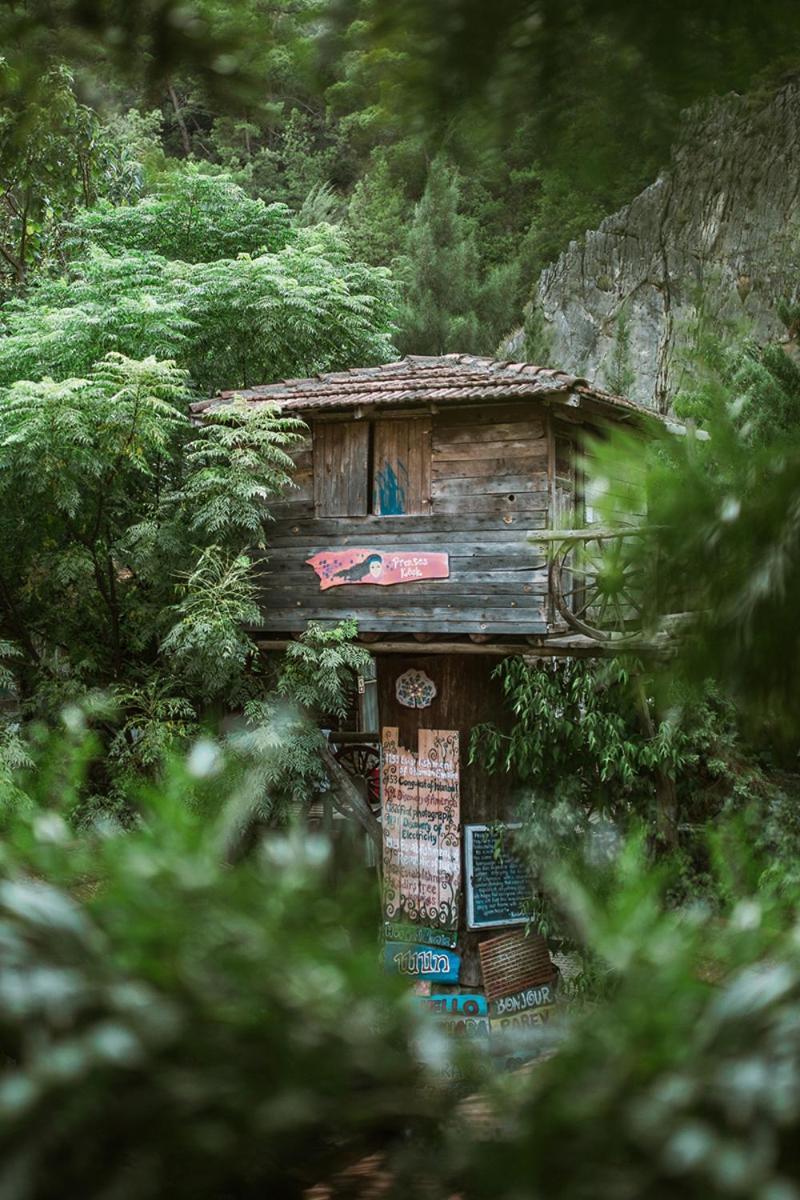 Kadir'S Top Tree Houses Olympos Ngoại thất bức ảnh