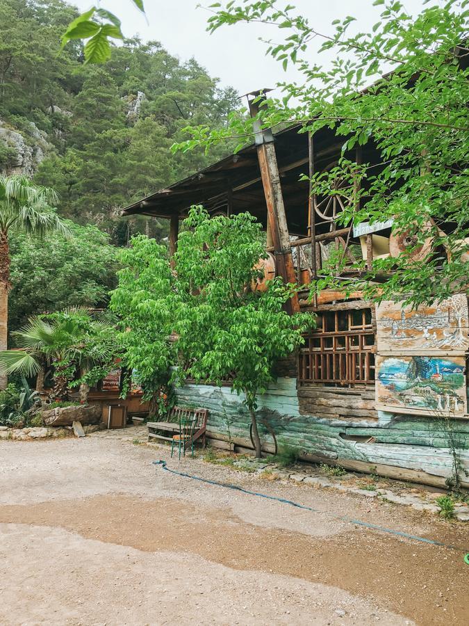Kadir'S Top Tree Houses Olympos Ngoại thất bức ảnh