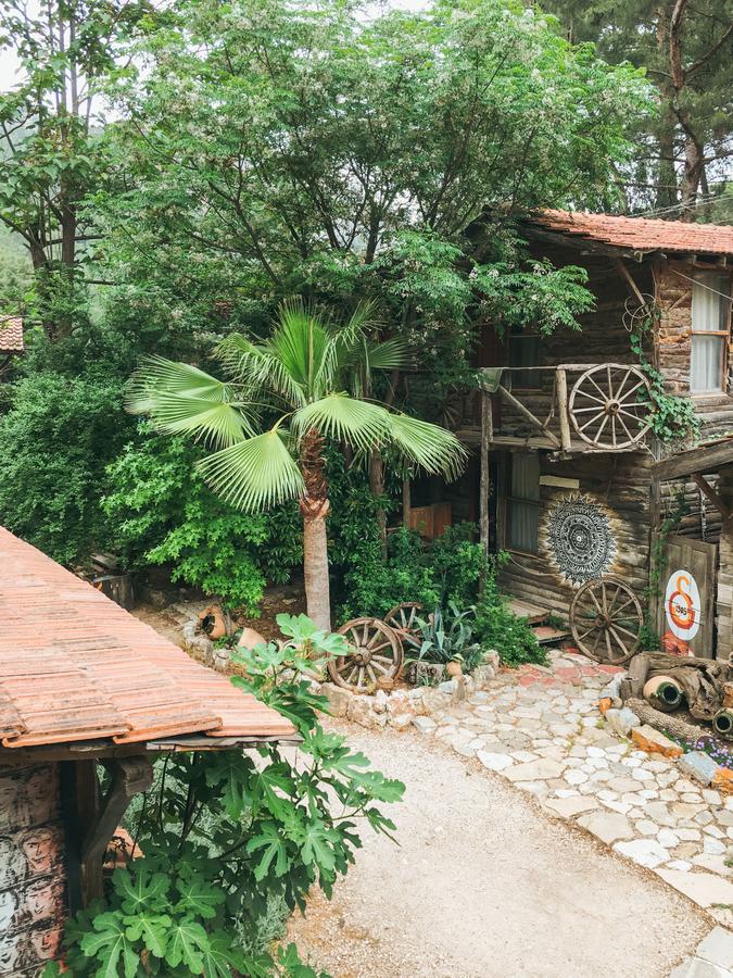 Kadir'S Top Tree Houses Olympos Ngoại thất bức ảnh