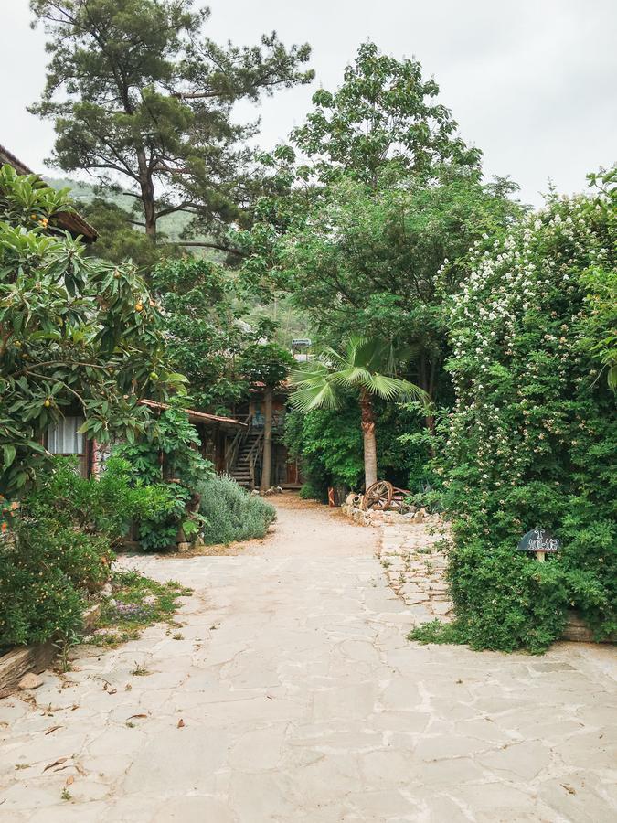Kadir'S Top Tree Houses Olympos Ngoại thất bức ảnh