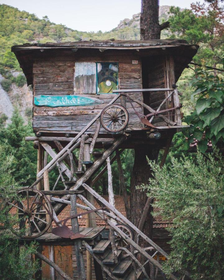 Kadir'S Top Tree Houses Olympos Ngoại thất bức ảnh