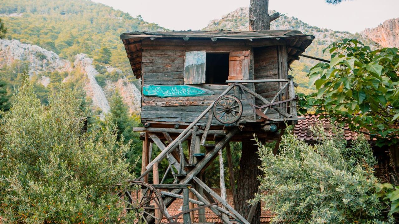 Kadir'S Top Tree Houses Olympos Ngoại thất bức ảnh