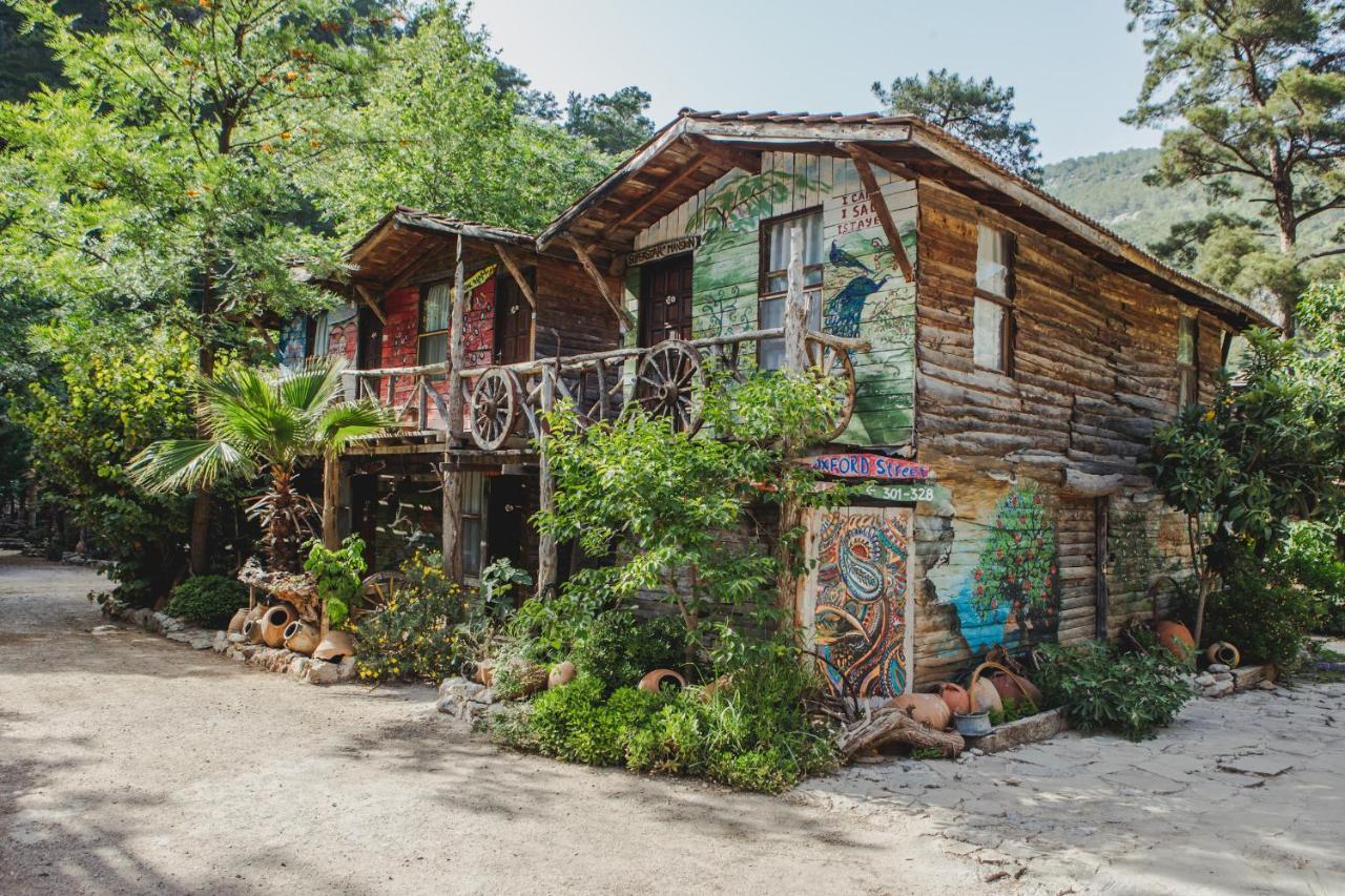 Kadir'S Top Tree Houses Olympos Ngoại thất bức ảnh